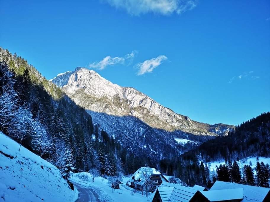 Ferienwohnung Mala Hisa Solčava Exterior foto