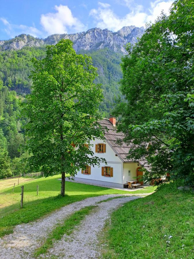 Ferienwohnung Mala Hisa Solčava Exterior foto